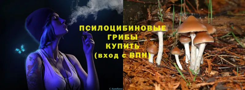 закладки  Куйбышев  ОМГ ОМГ ссылка  Псилоцибиновые грибы Magic Shrooms 